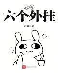 我有六个外挂