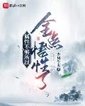 属性不够所以全点悟性了